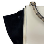 Celine Trapeze Leather 2Way Python Handle Handbag