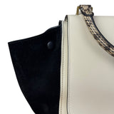 Celine Trapeze Leather 2Way Python Handle Handbag