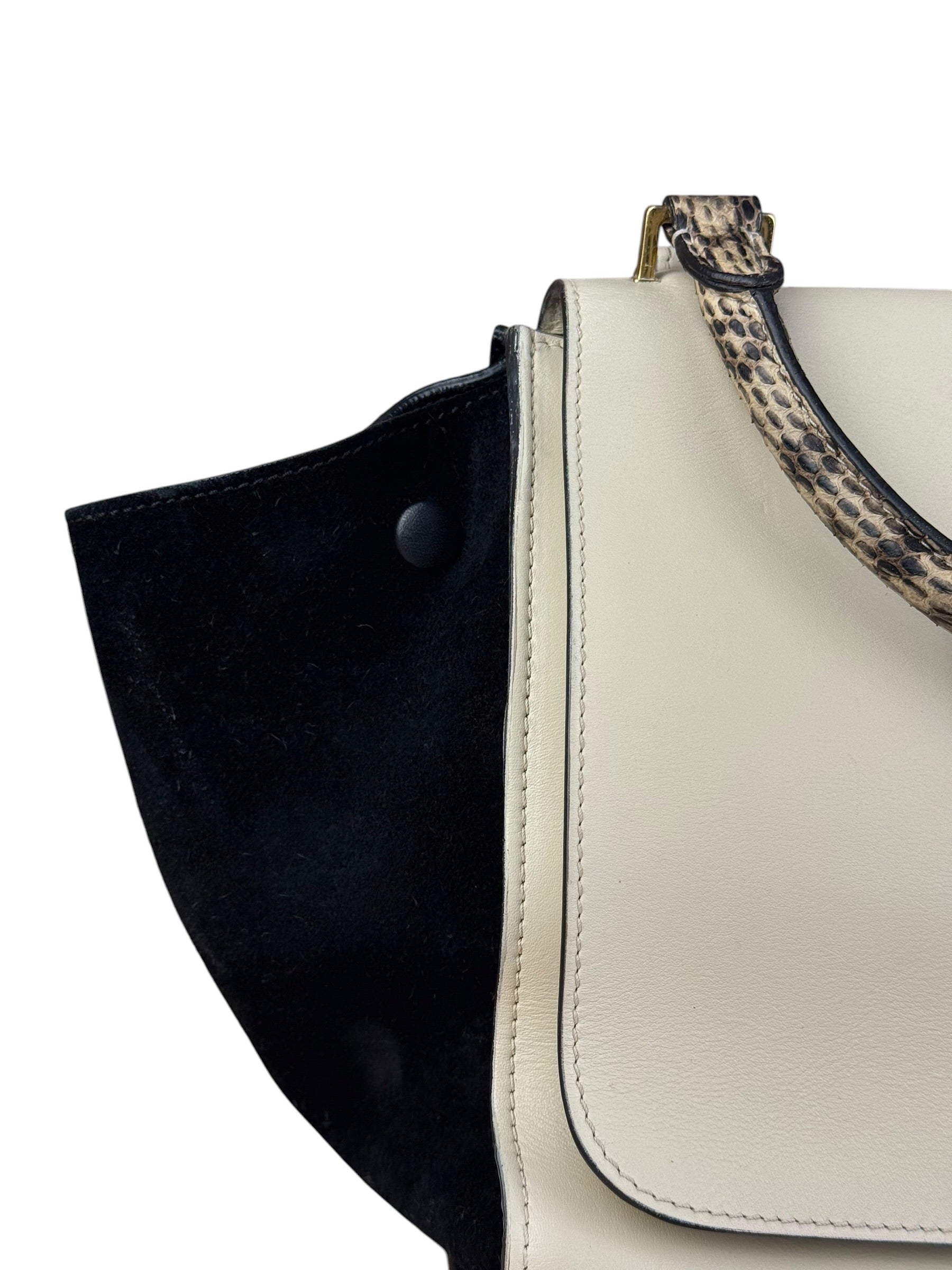Celine Trapeze Leather 2Way Python Handle Handbag