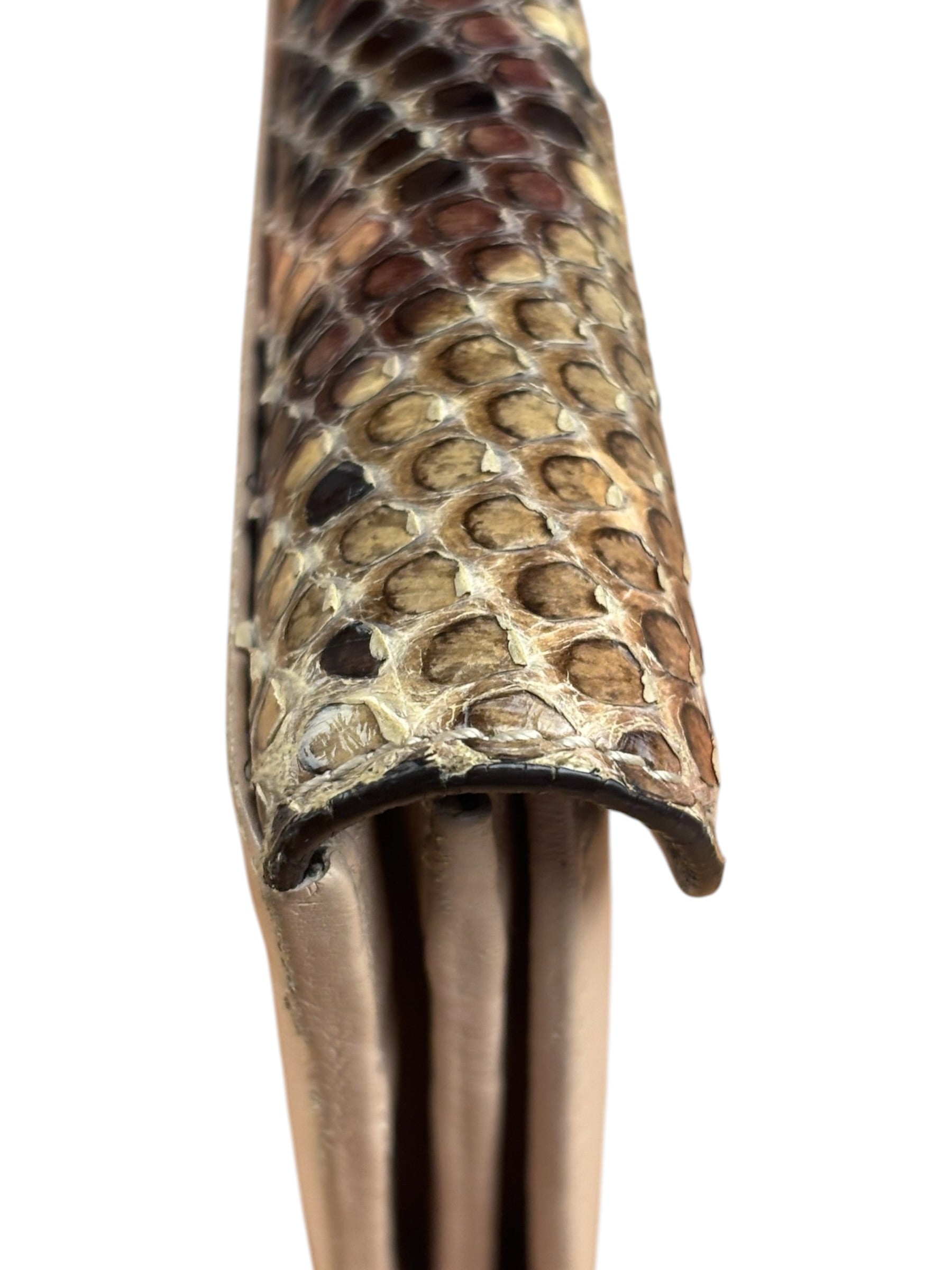 Salvatore Ferragamo Multi-Toned Leather Python Gancini Continental Wallet