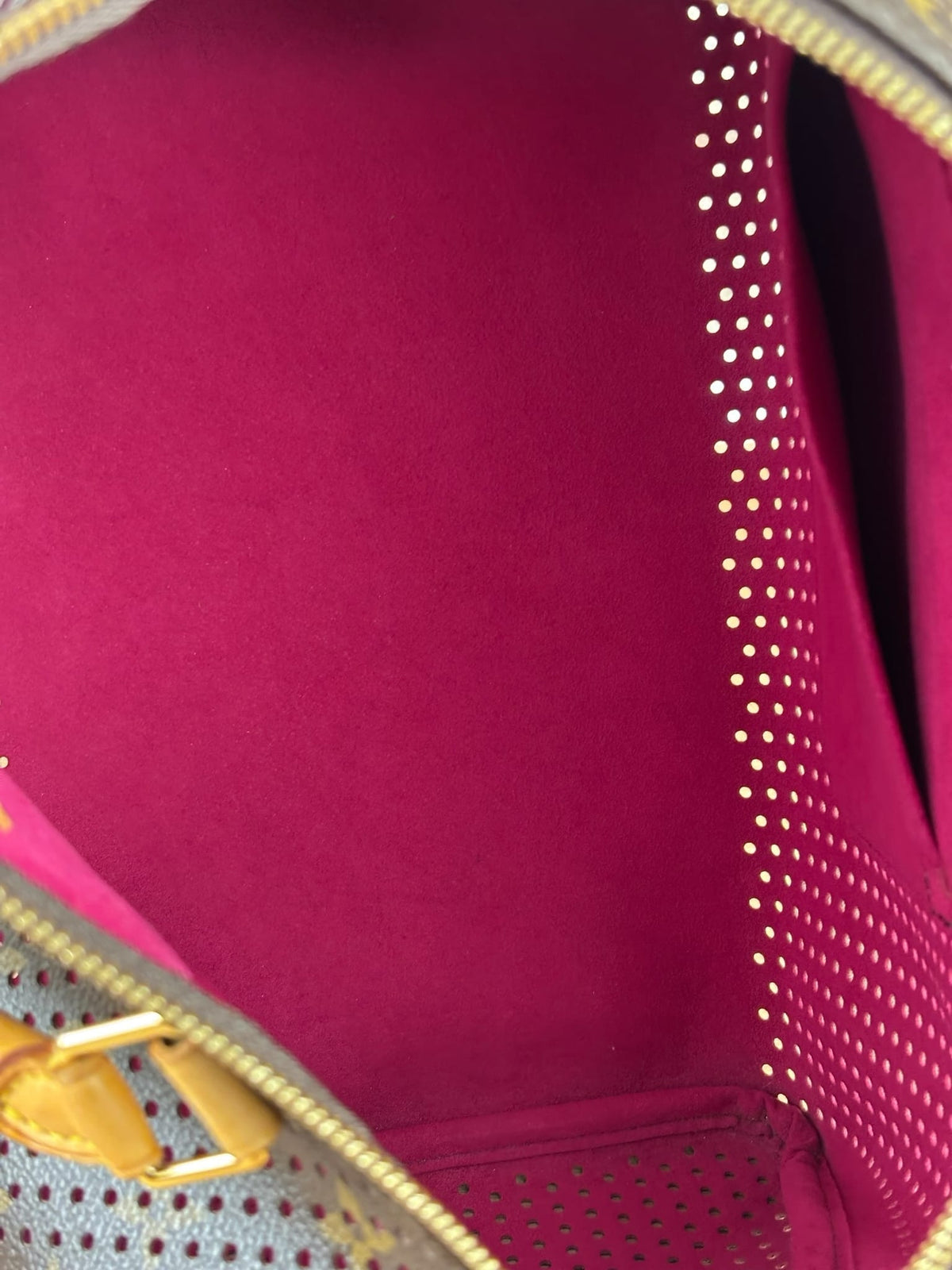 Louis Vuitton Perforated Monogram Speedy 30