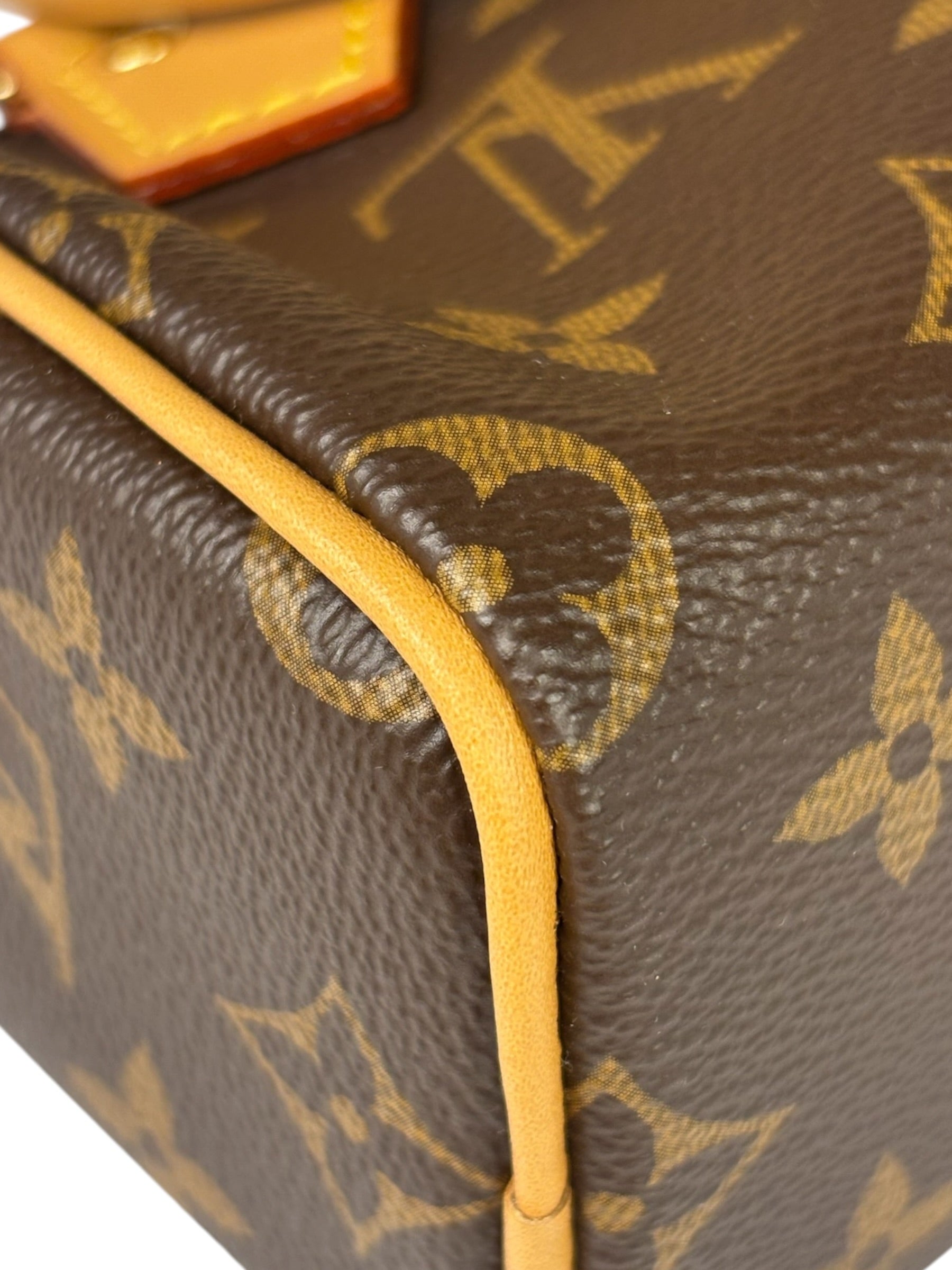 Louis Vuitton Monogram Nano Speedy Two-Way Bag