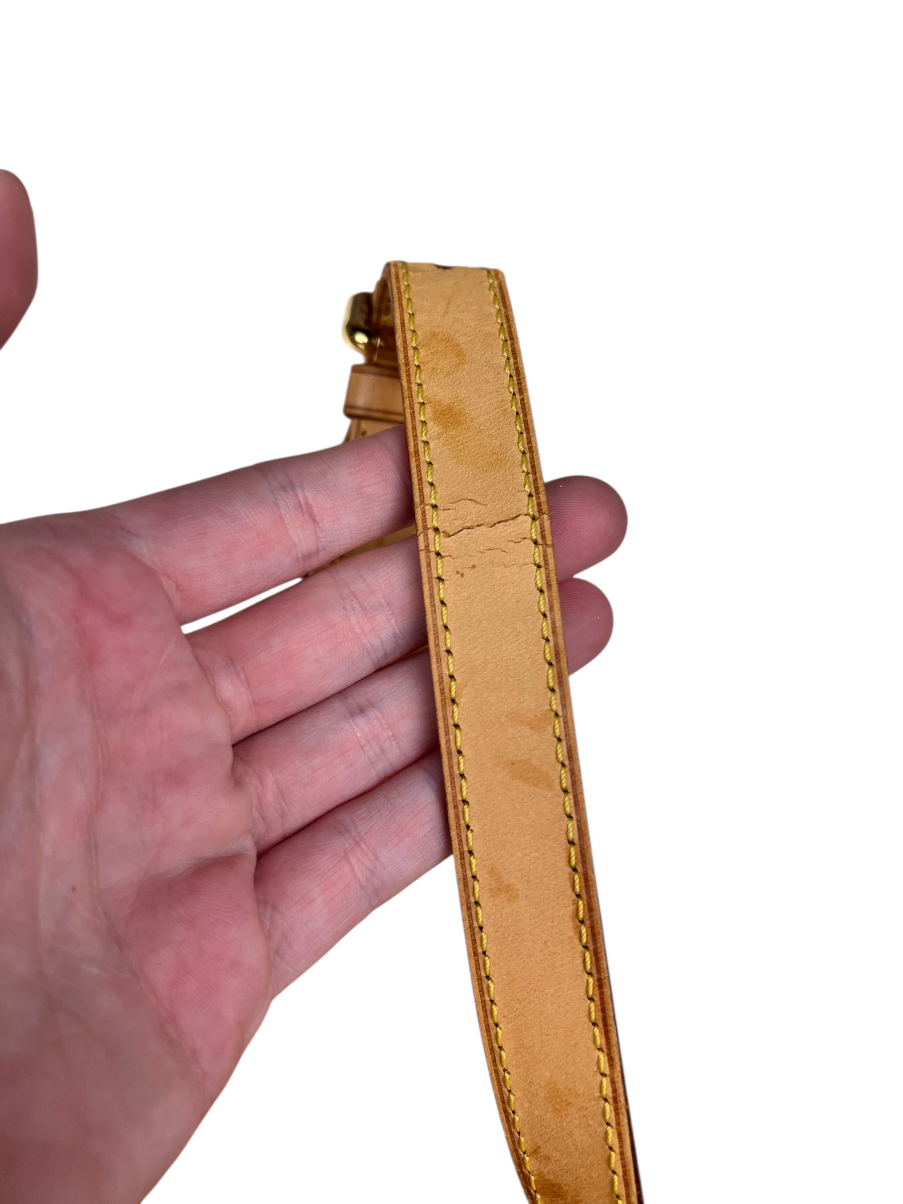 Louis Vuitton Vernis Monogram Rosewood Handbag