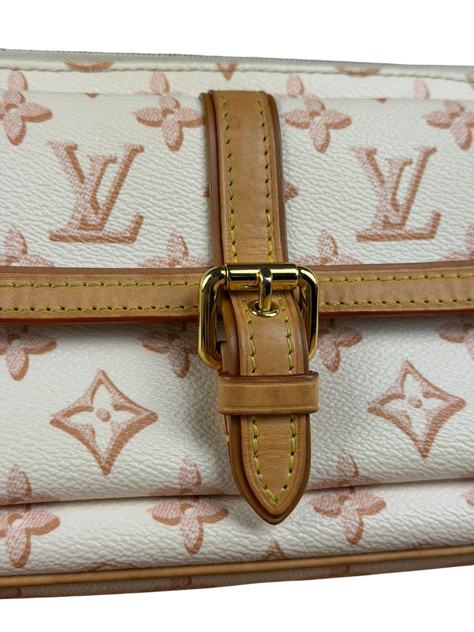 Louis Vuitton Monogram Maxi Multi Pochette