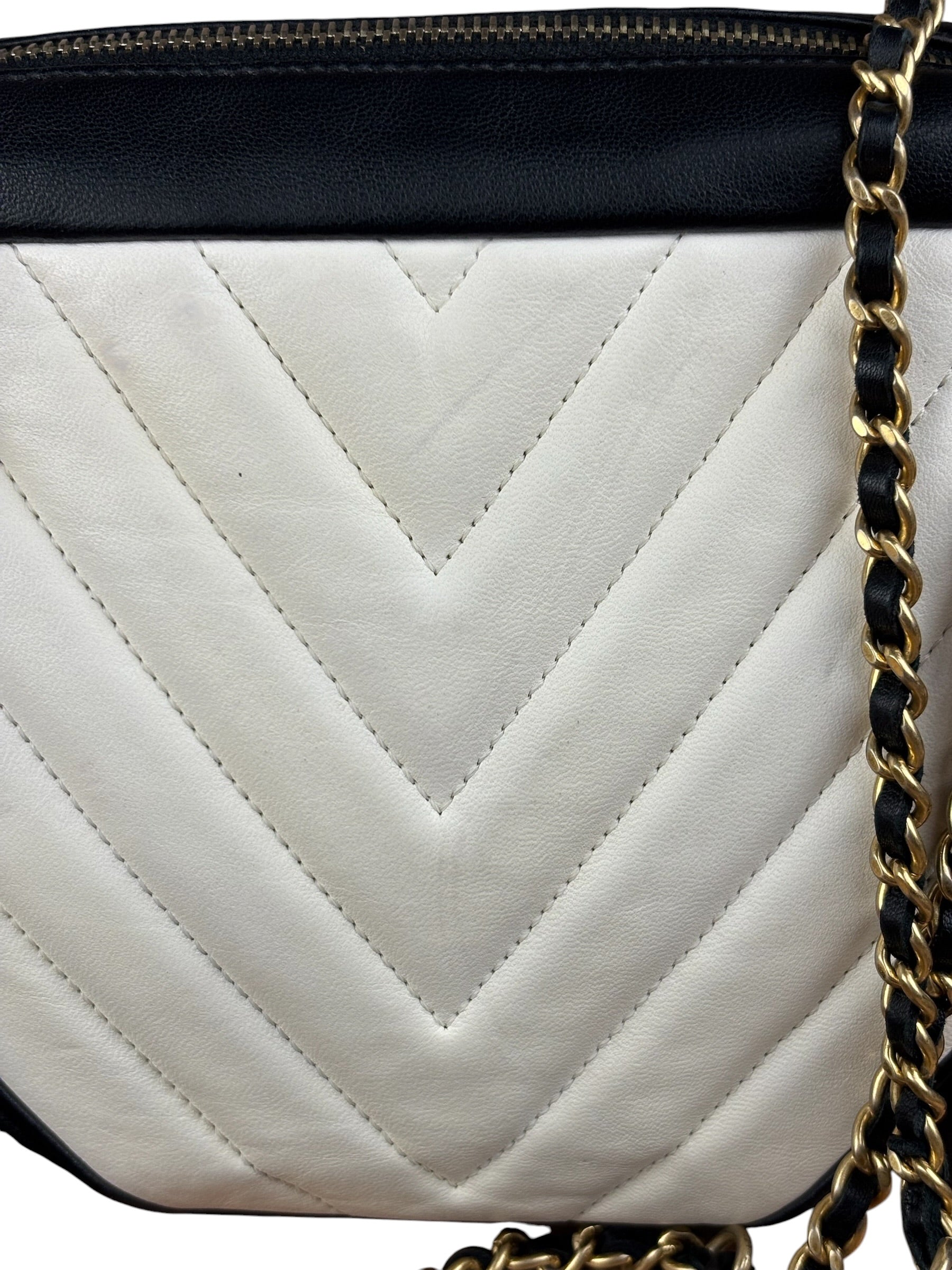 Chanel Bicolor Chevron V-Quilted Leather Camera Case 2014