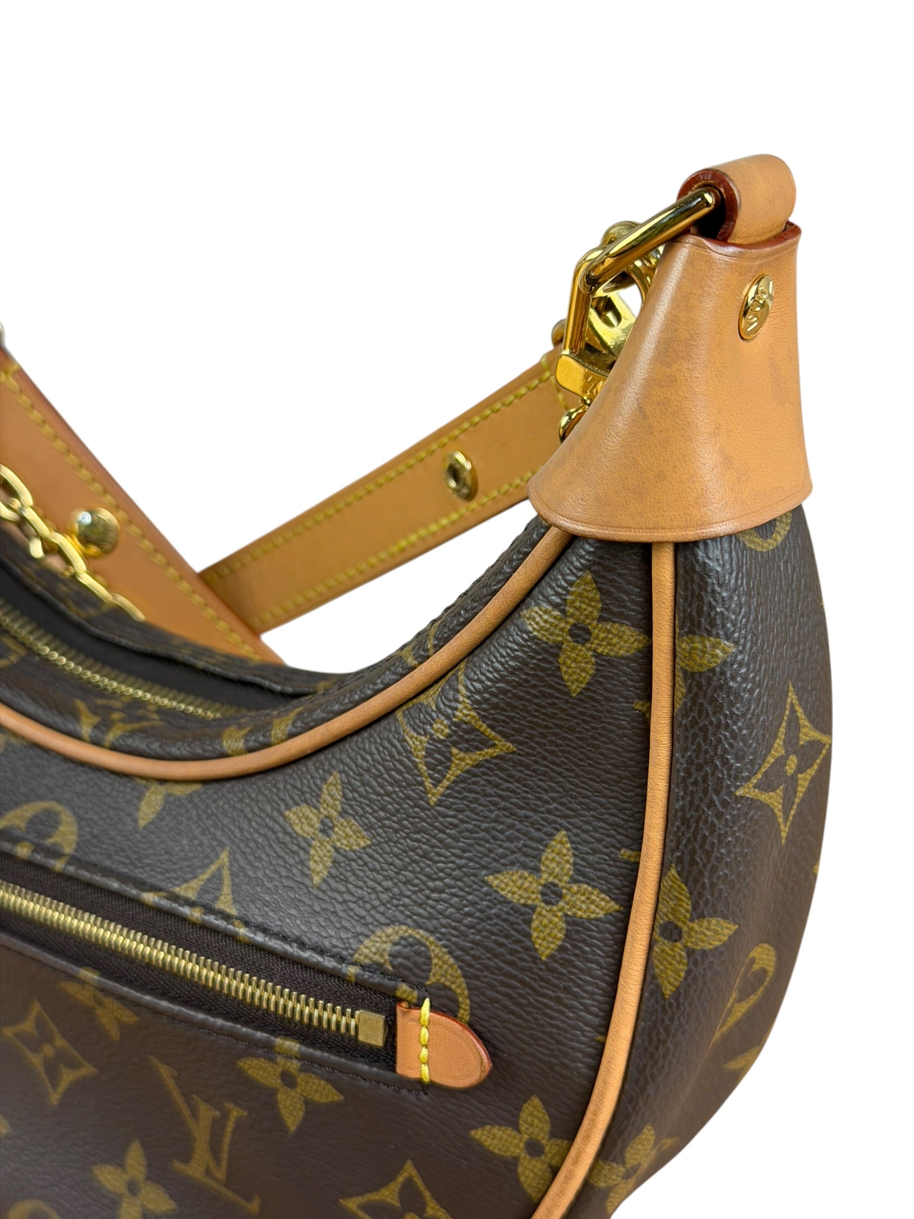 Louis Vuitton Monogram Loop Pochette
