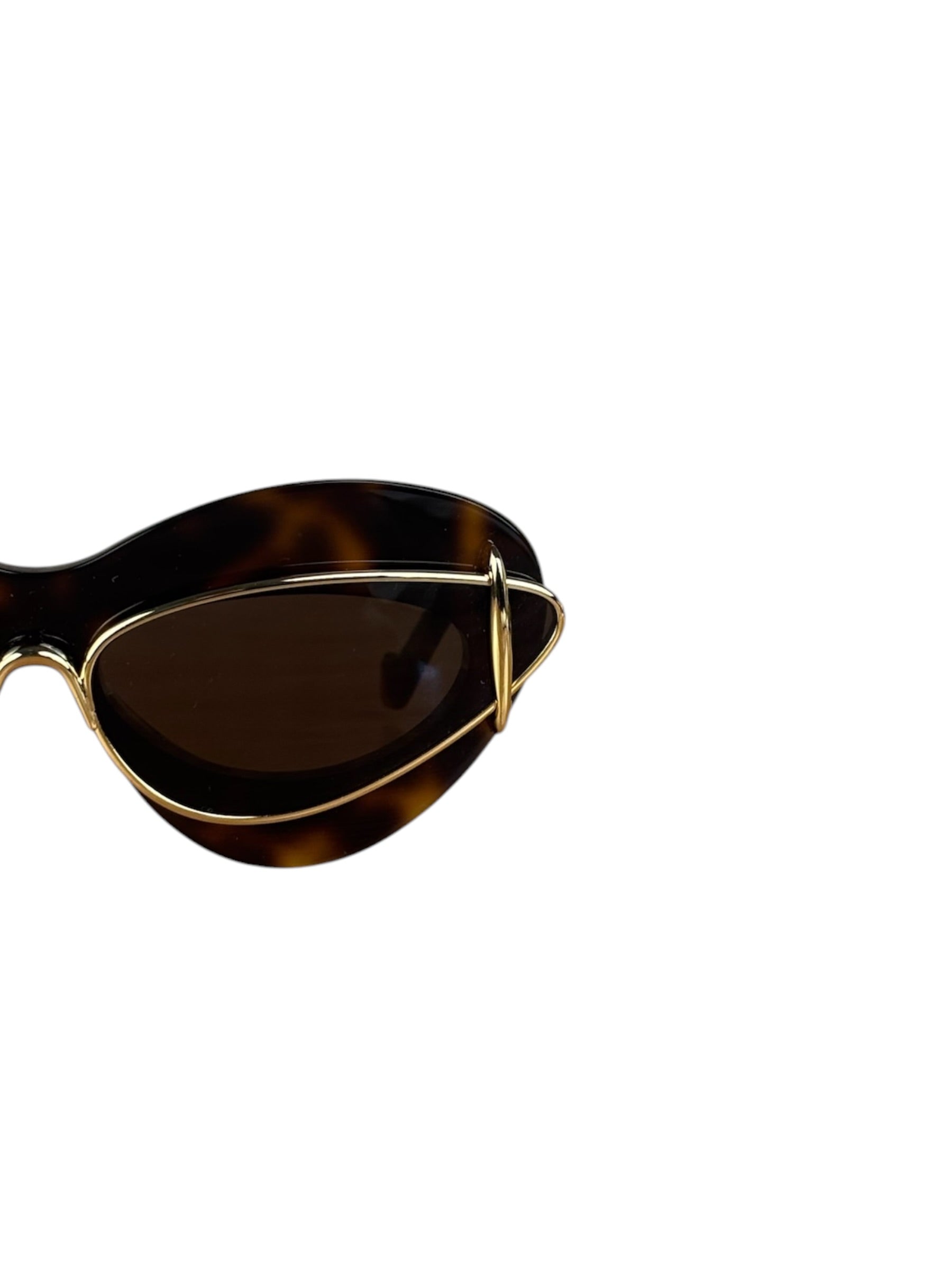 Loewe Double Frame Cat Eye Sunglasses LW401191