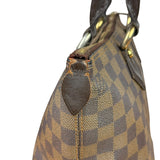 Louis Vuitton Damier Ebene Saleya Tote Bag MM