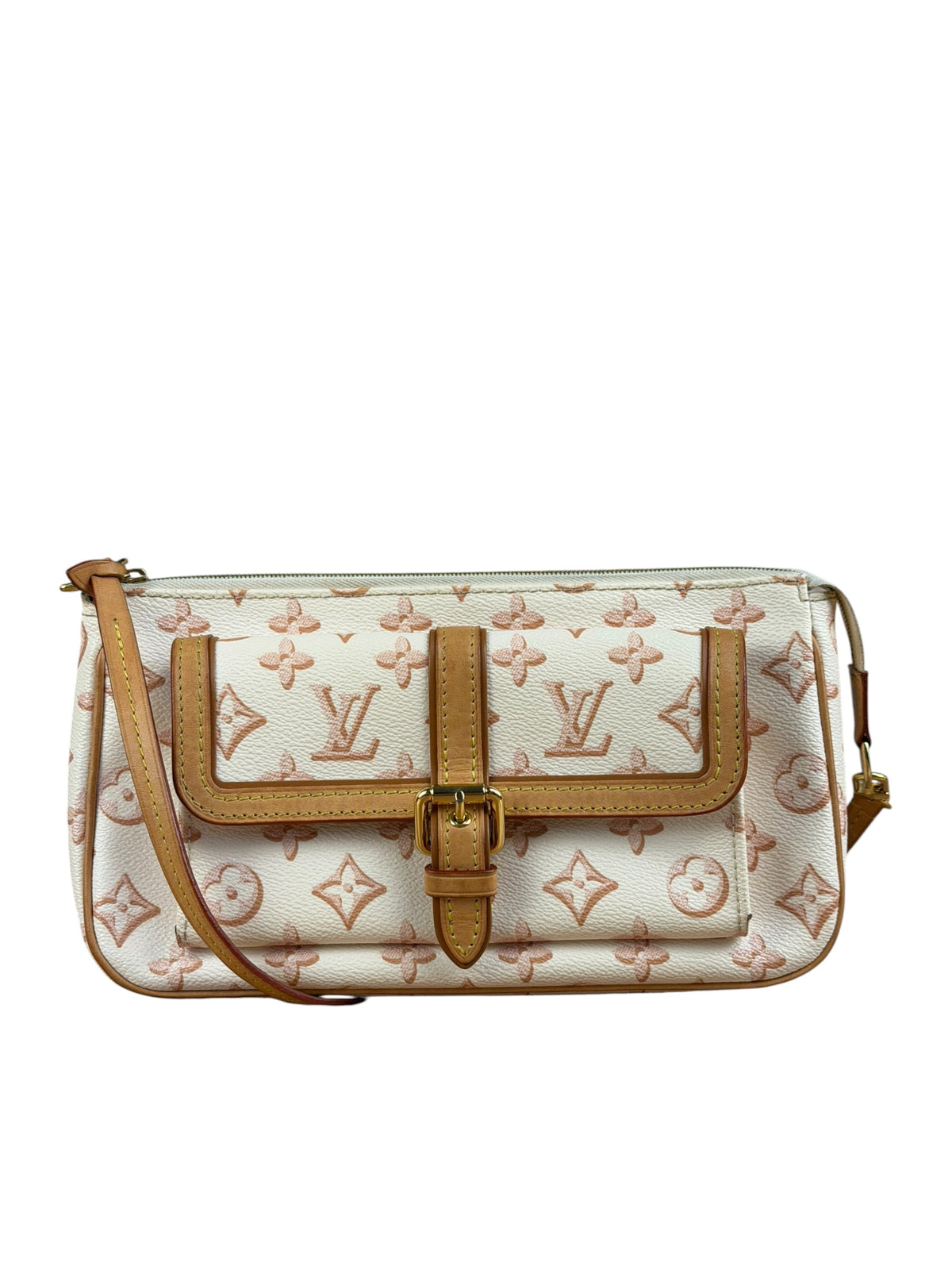 Louis Vuitton Monogram Maxi Multi Pochette