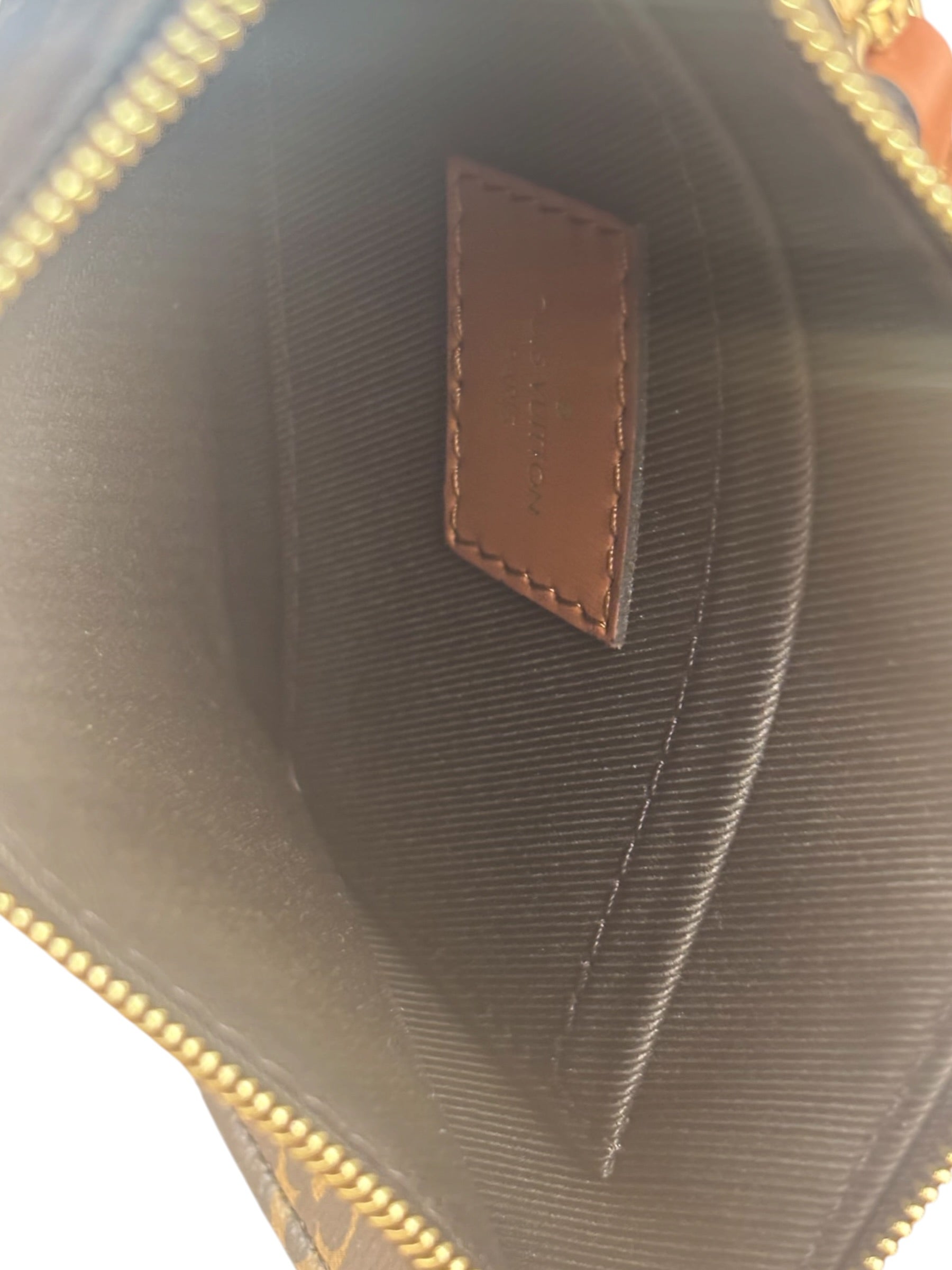 Louis Vuitton Reverse Monogram Loop Hobo