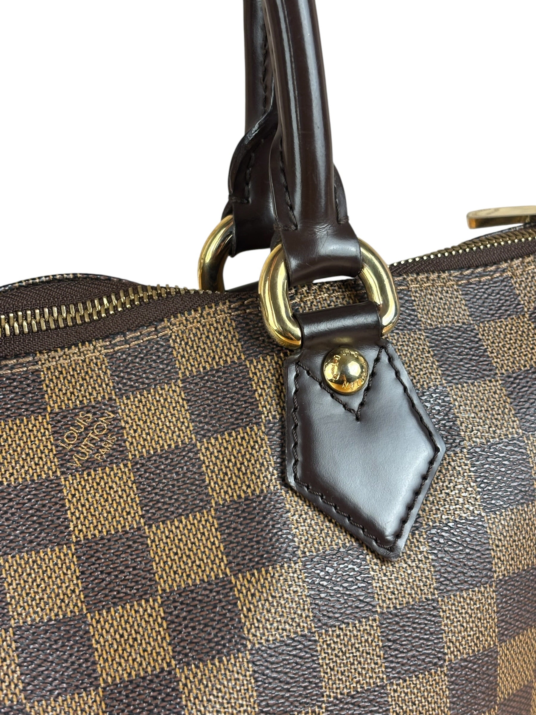 Louis Vuitton Damier Ebene Saleya Tote Bag