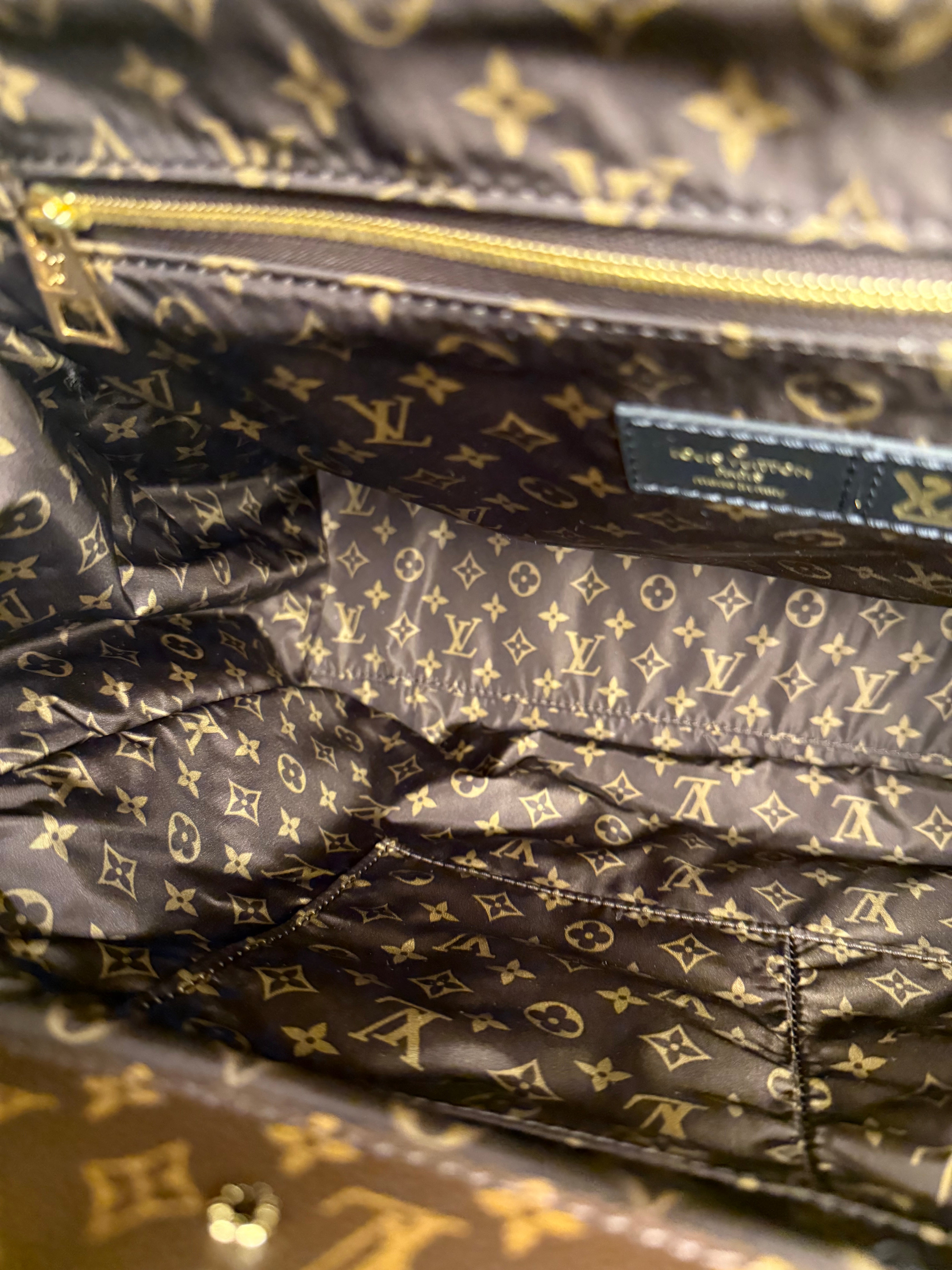 Louis Vuitton Econyl Monogram Pillow OnTheGo 2Way Black