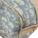 Christian Dior Vintage Trotter Canvas Mini Boston Bag