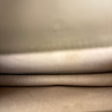 Gucci Dionysus GG Supreme Super Mini Bag Beige/Taupe