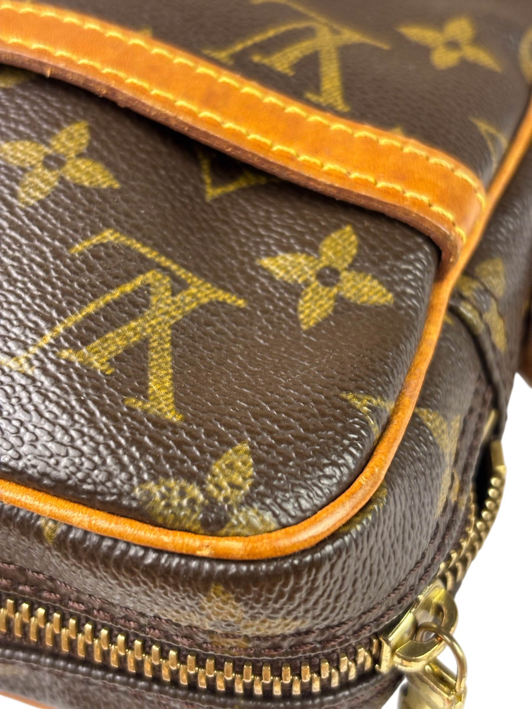 Louis Vuitton Monogram Danube Crossbody Bag