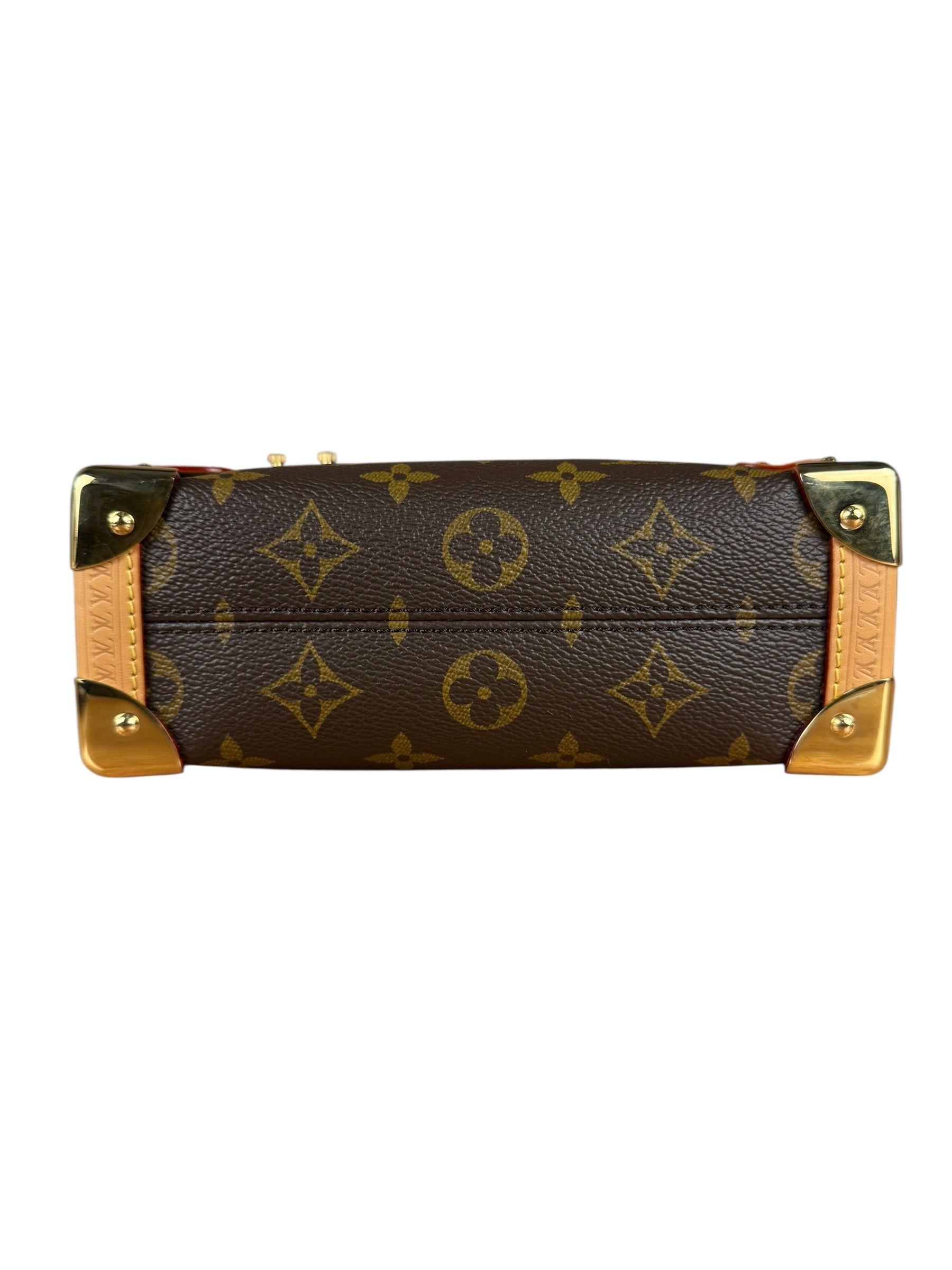 Louis Vuitton Monogram Side Trunk Bag
