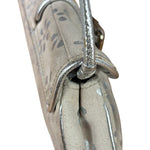 Celine Grey/Silver Suede/Leather Daisy Pochette