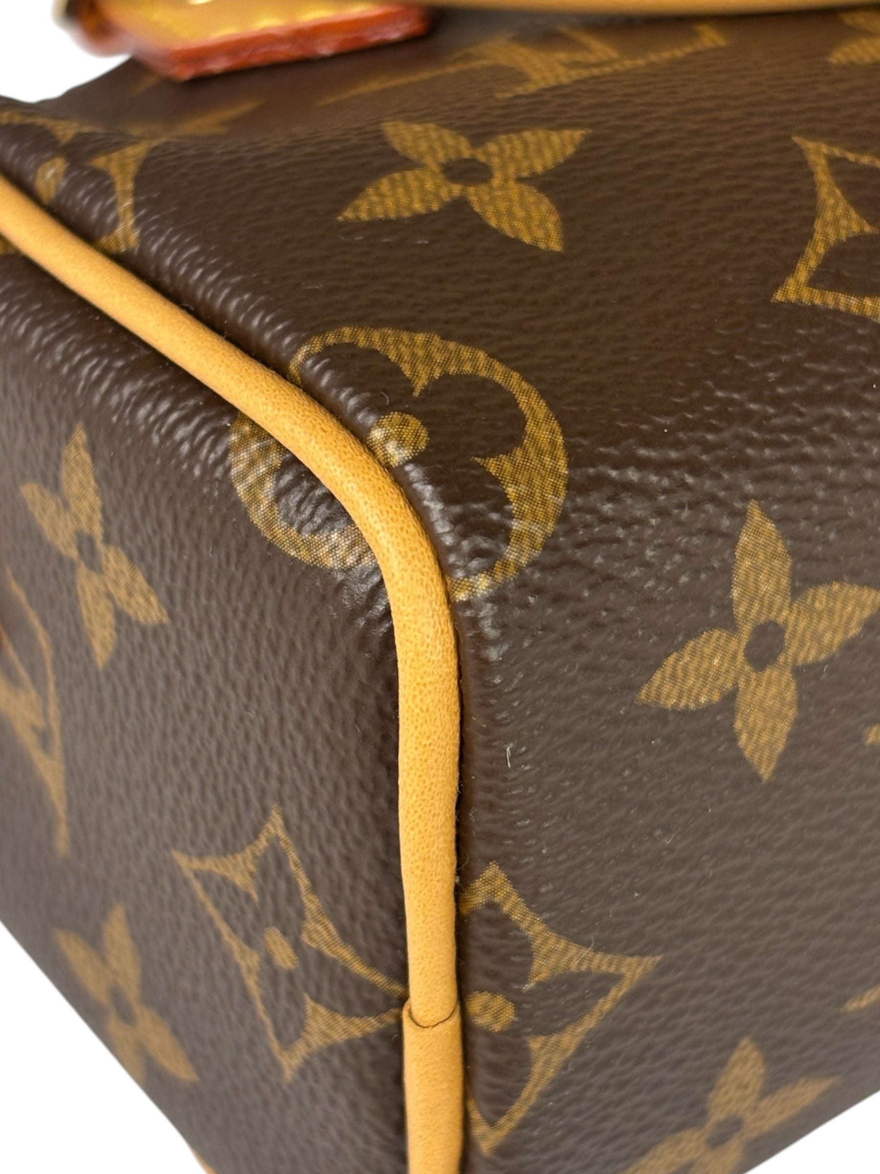 Louis Vuitton Monogram Nano Speedy Two-Way Bag