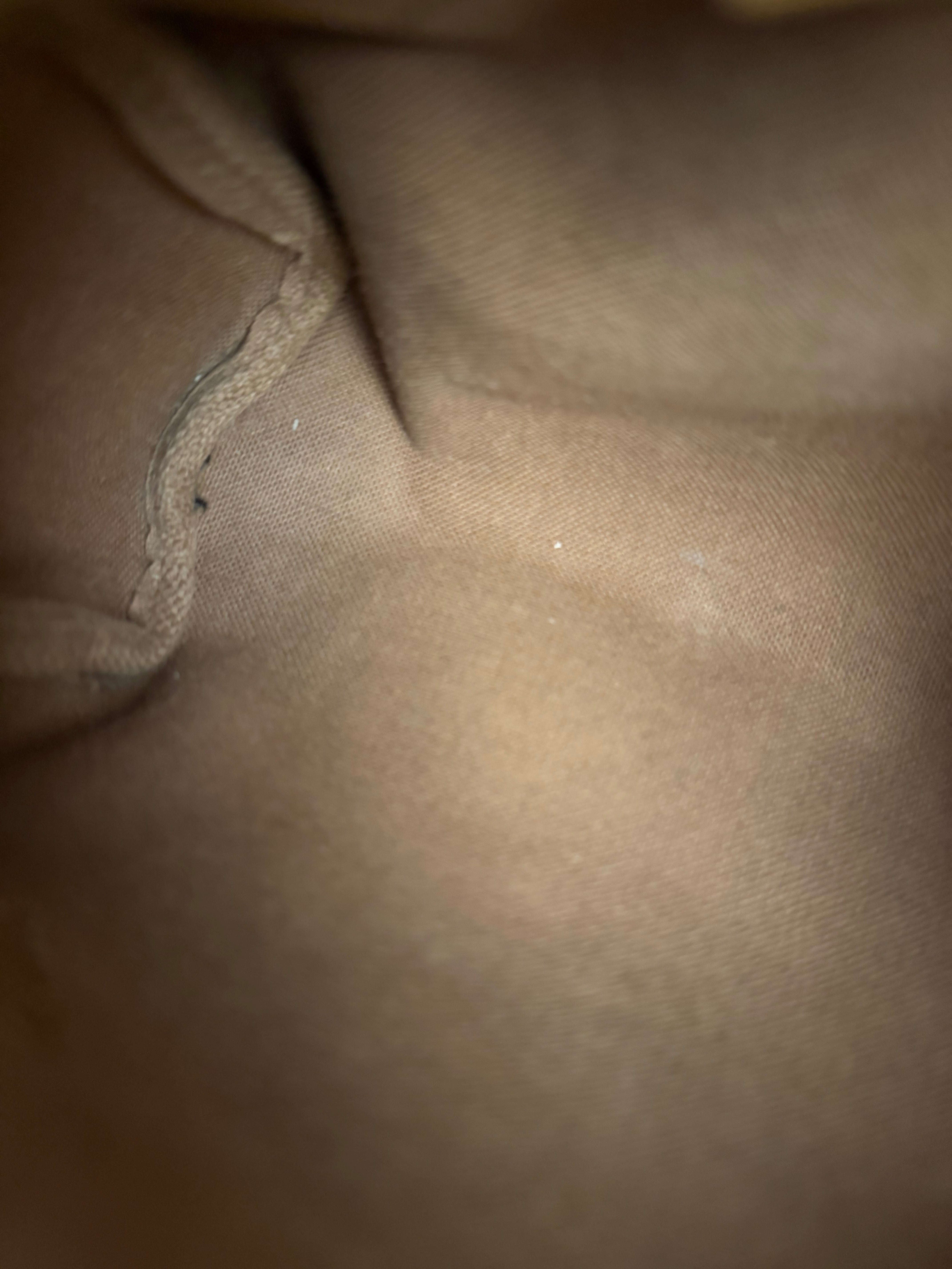 Louis Vuitton Monogram Nano Speedy Bag