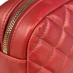Chanel Pink Satin/Leather Trim Camera Bag 2019