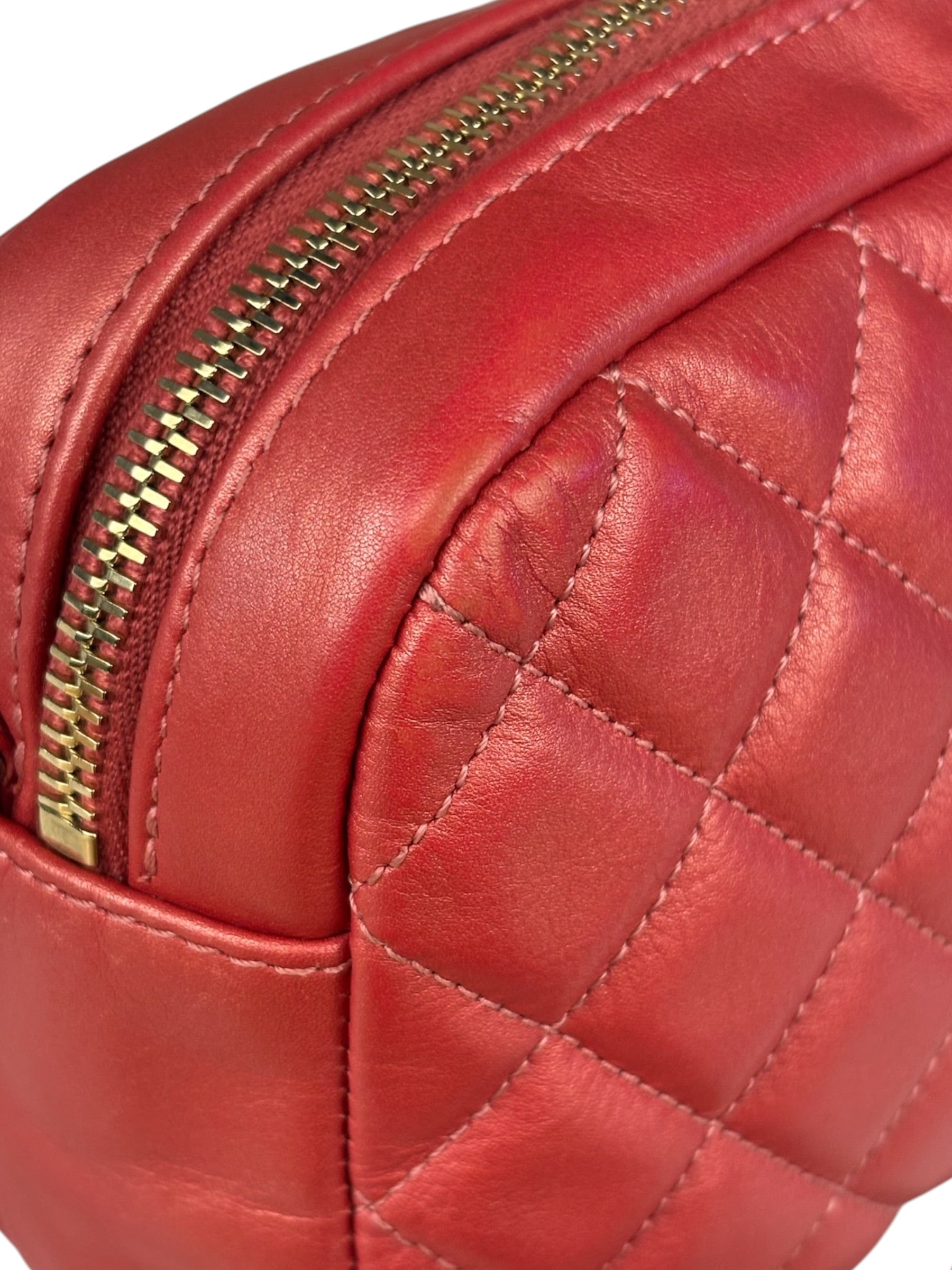 Chanel Pink Satin/Leather Trim Camera Bag 2019
