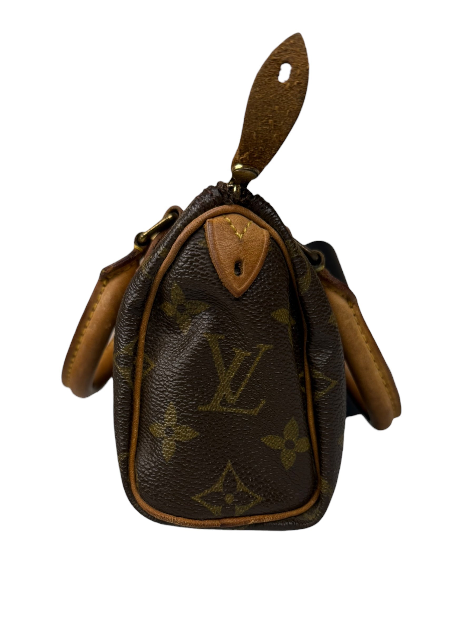 Louis Vuitton Monogram Nano Speedy Bag