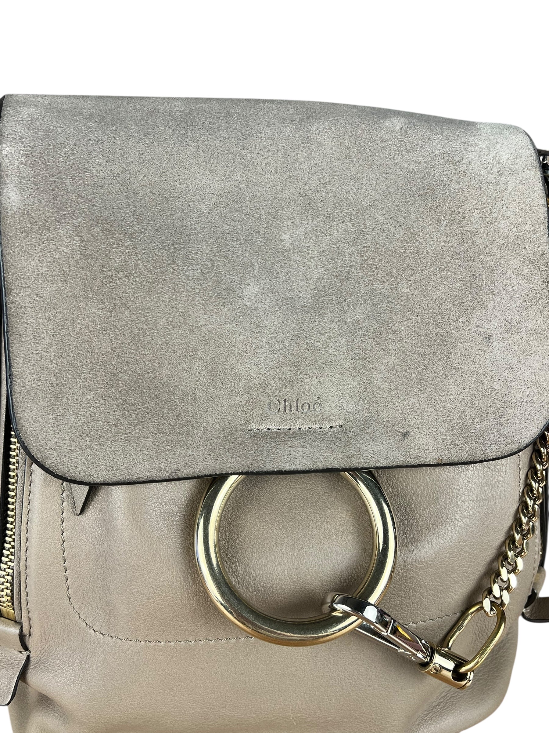 Chloe Faye Leather/Suede Backpack