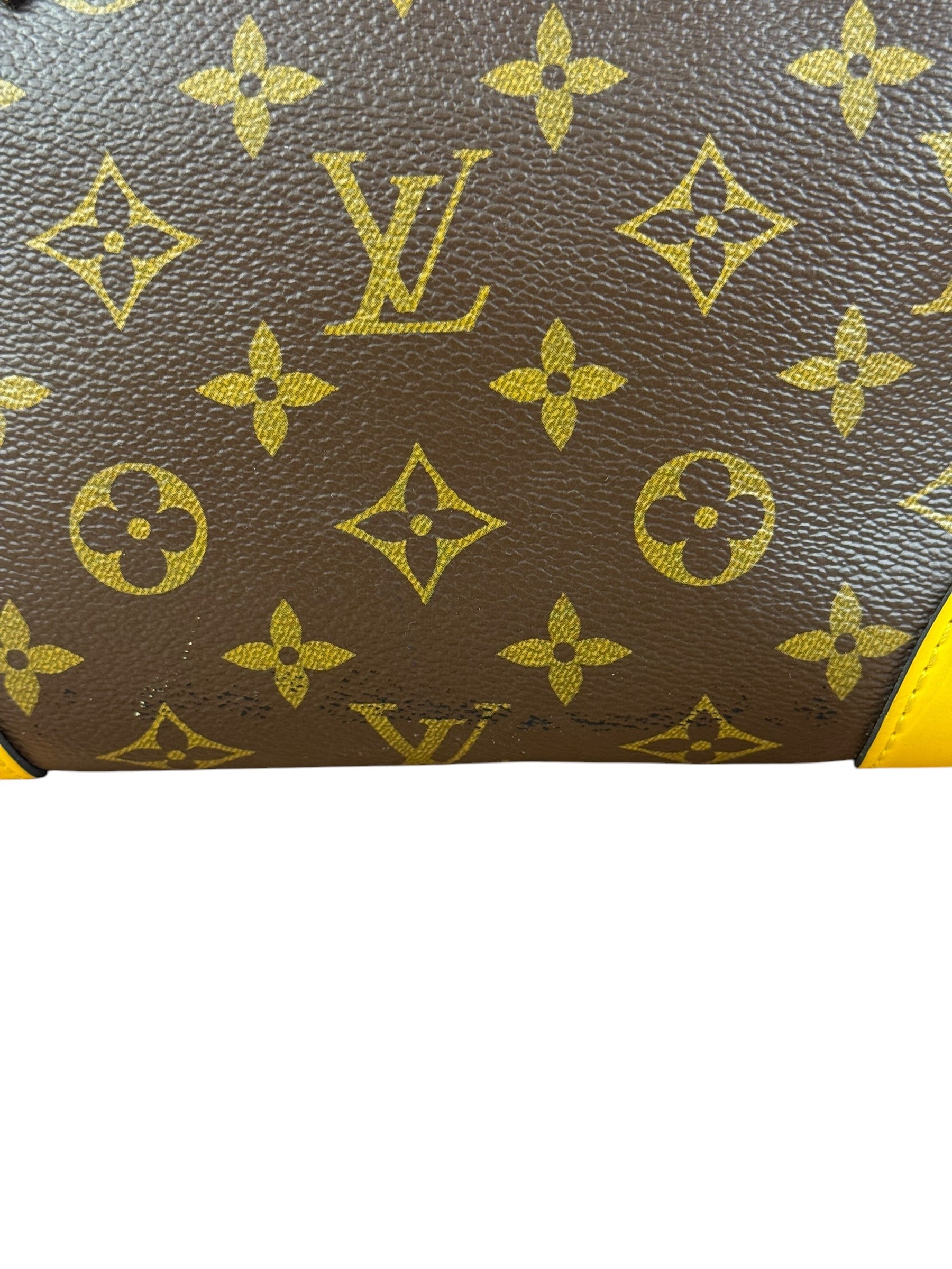 Louis Vuitton Monogram Yellow Phenix PM 2Way Bag