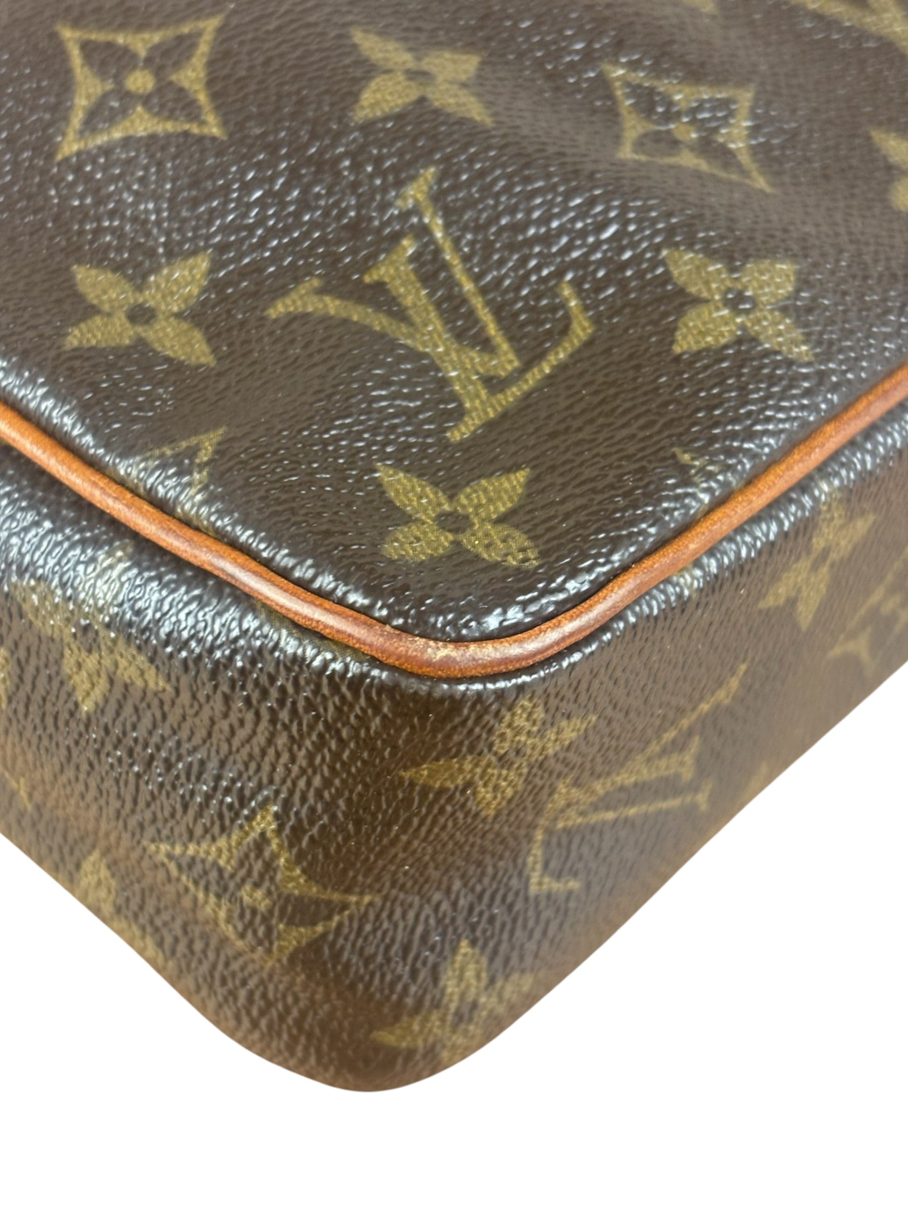 Louis Vuitton Canvas Monogram Pouch