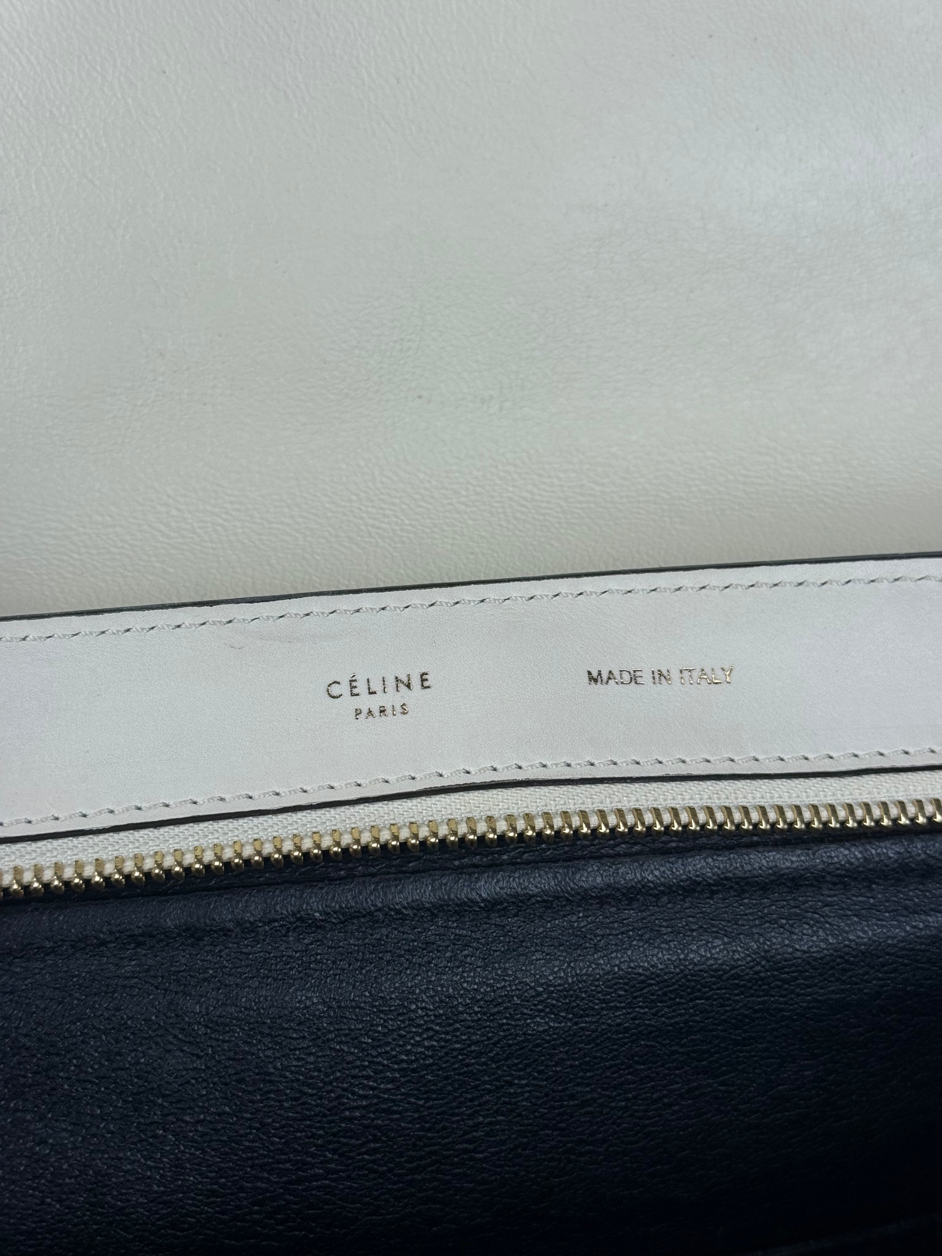 Celine Trapeze Leather 2Way Python Handle Handbag