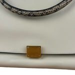 Celine Trapeze Leather 2Way Python Handle Handbag