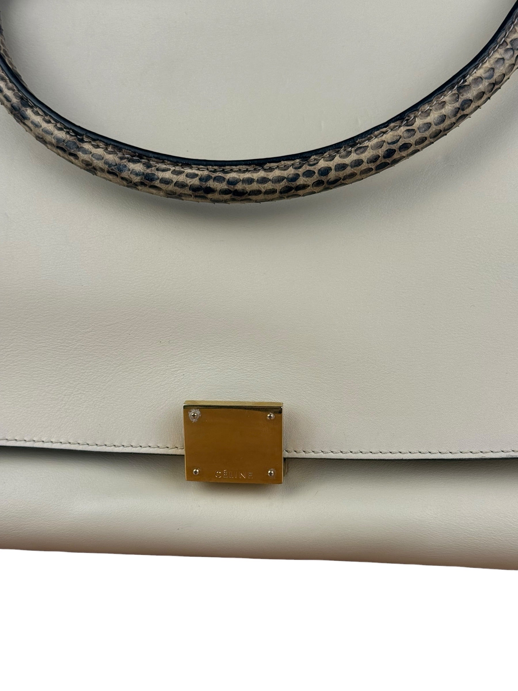 Celine Trapeze Leather 2Way Python Handle Handbag