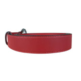 Gucci Dionysus Red Leather Belt