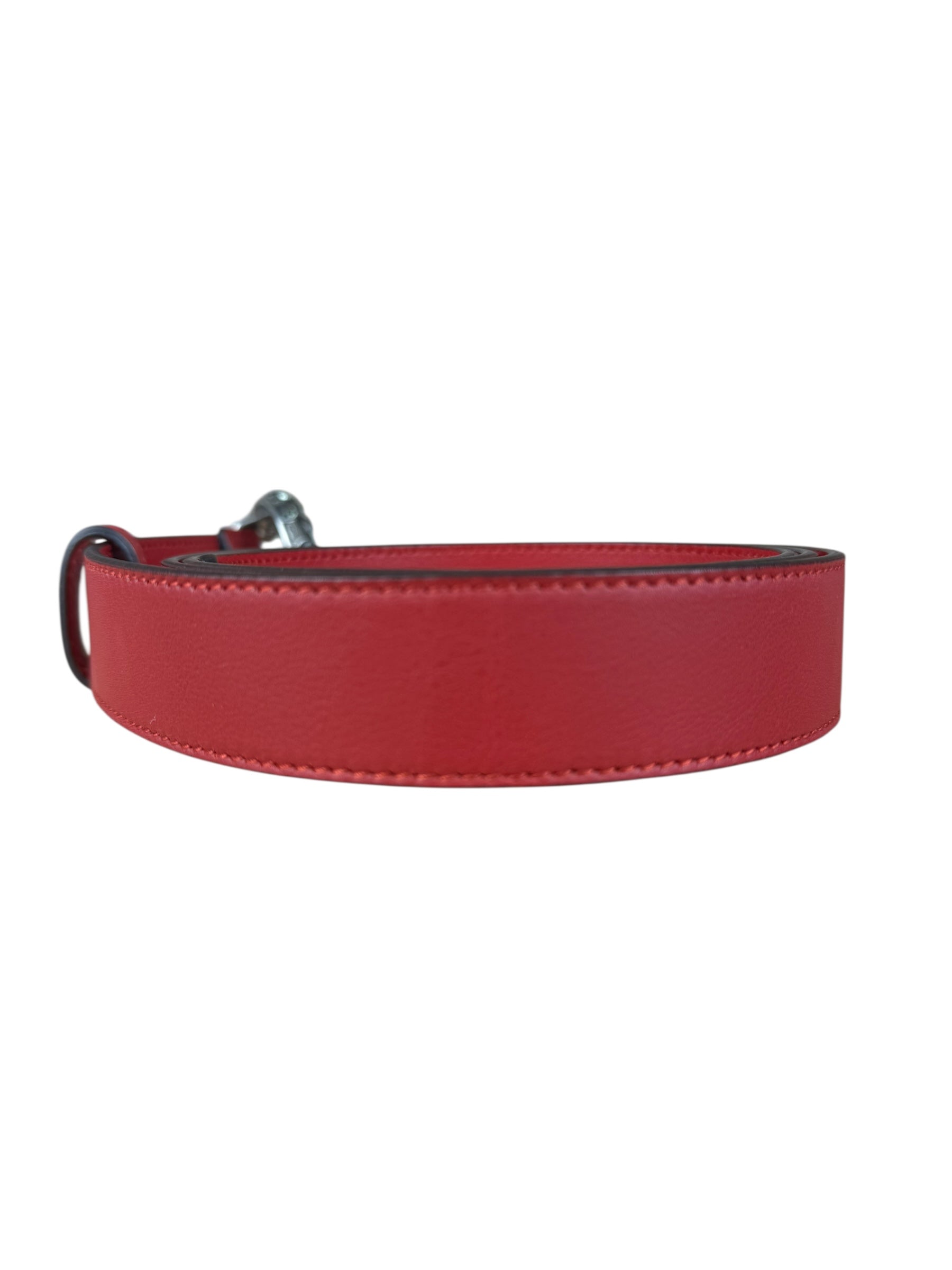 Gucci Dionysus Red Leather Belt
