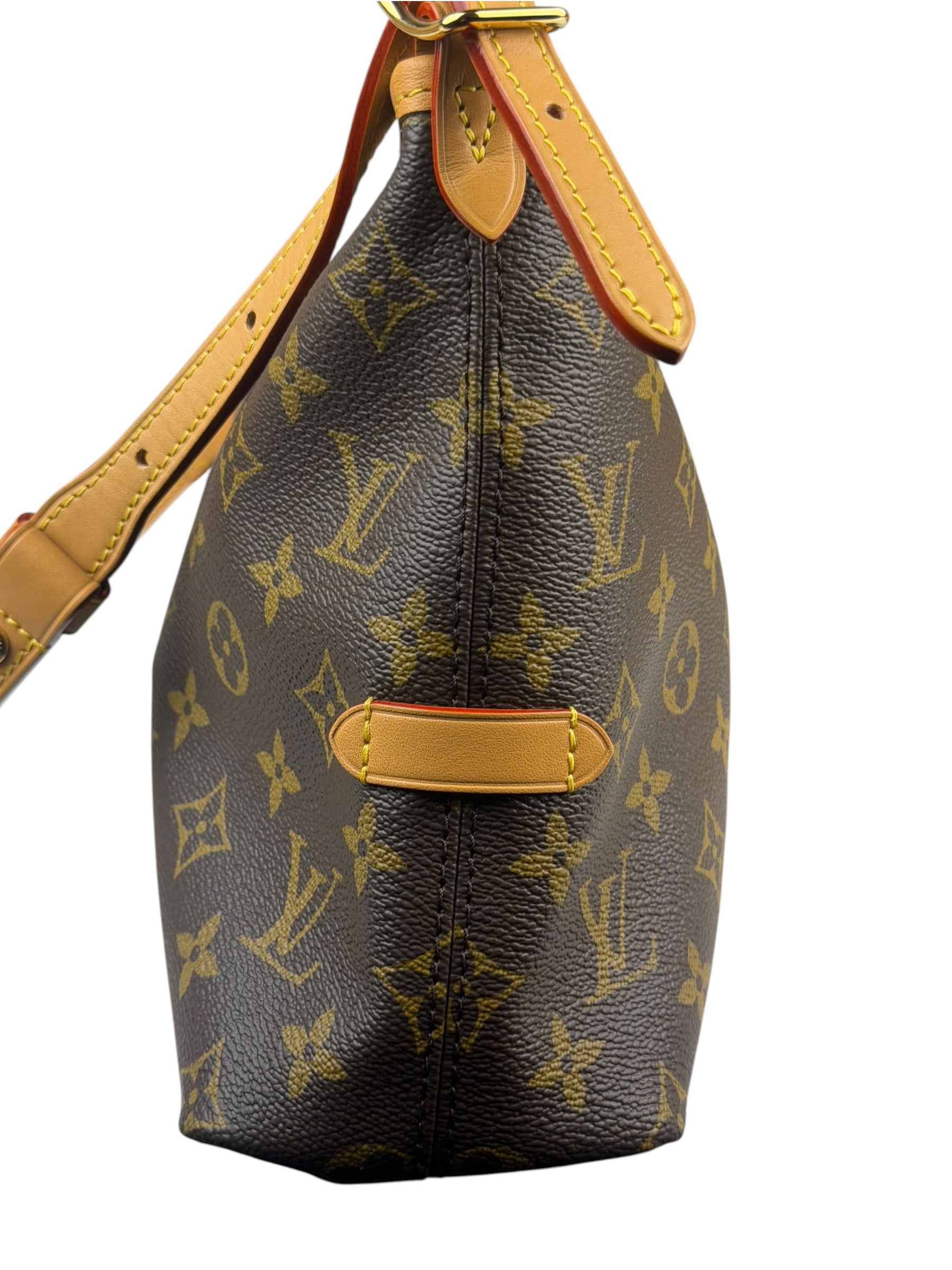Louis Vuitton Monogram CarryAll Bag MM