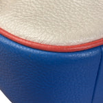Coach Colorblock Leather Teri Pochette/Crossbody Bag