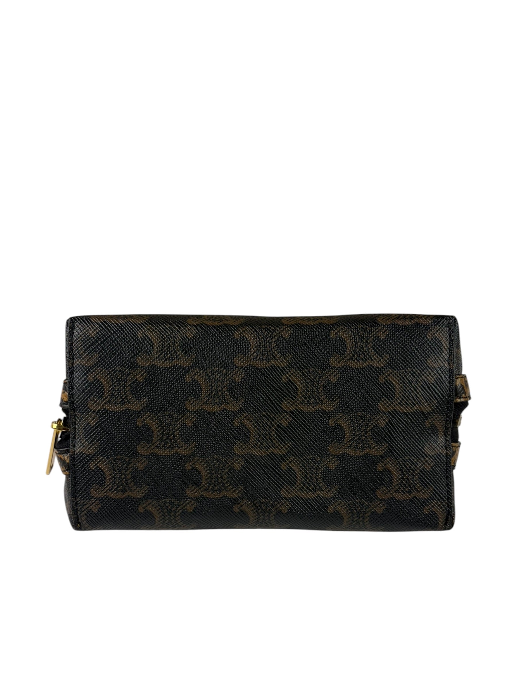 Celine Leopard Print-Trimmed Triomphe Chain Bag