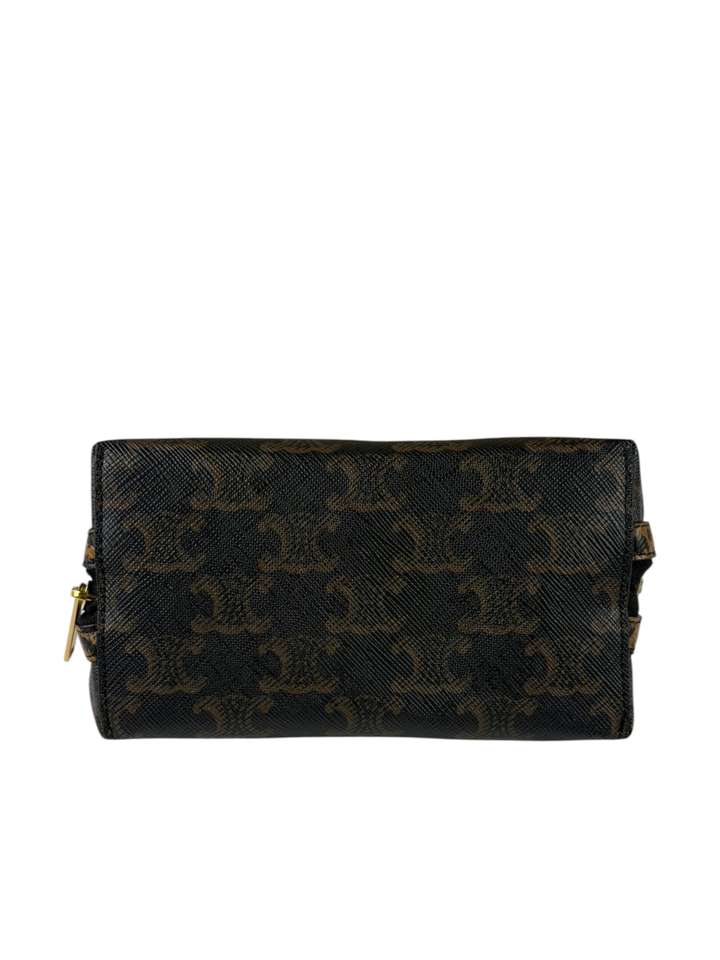 Celine Leopard Print-Trimmed Triomphe Chain Bag