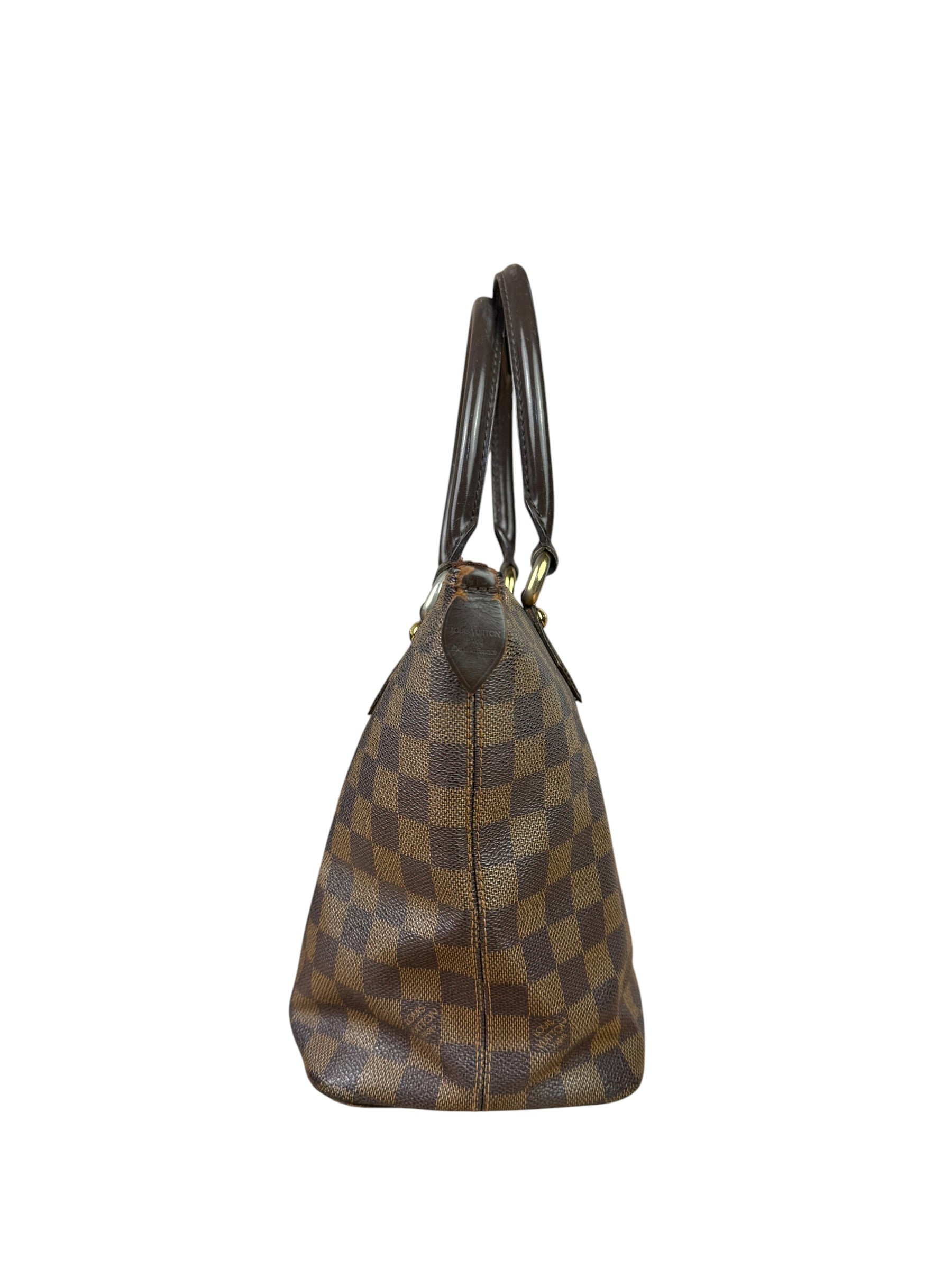 Louis Vuitton Damier Ebene Saleya Tote Bag MM
