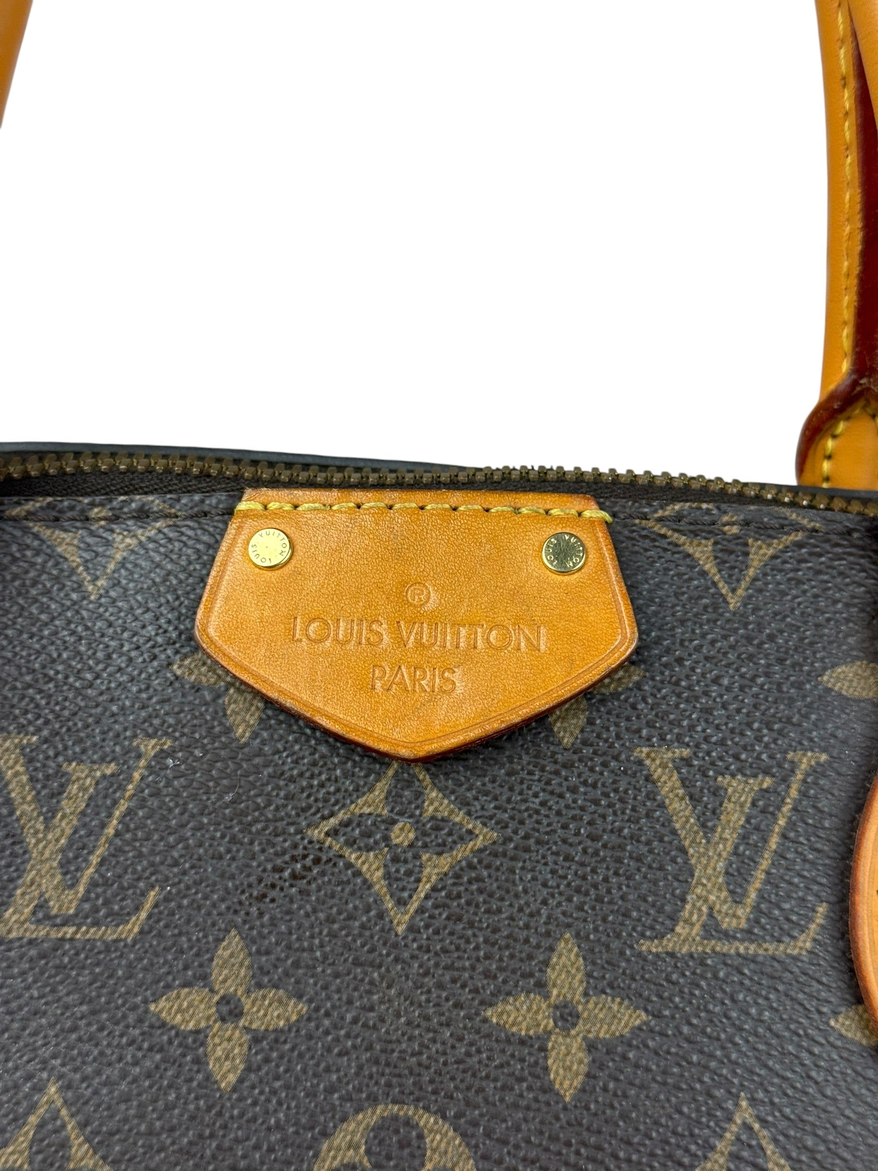 Louis Vuitton Canvas Monogram Turenne Hand Bag