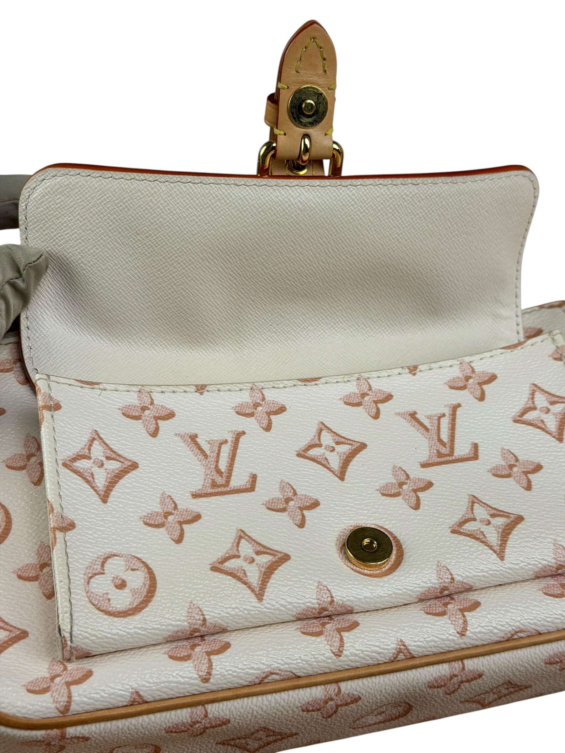Louis Vuitton Monogram Maxi Multi Pochette