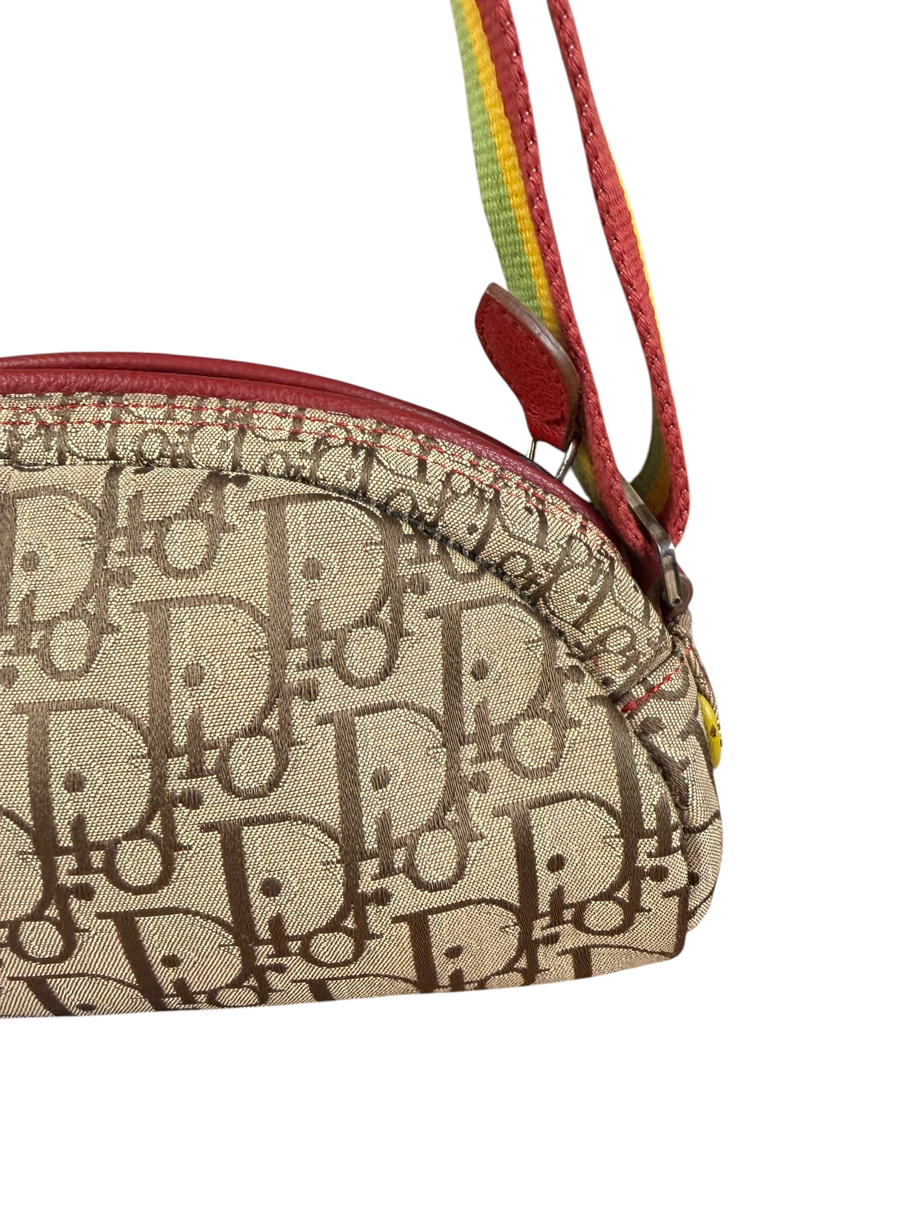 Christian Dior Vintage Trotter Canvas Rasta Crossbody Bag
