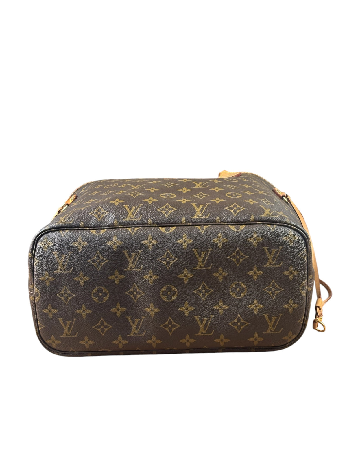 Louis Vuitton Monogram Neverfull PM