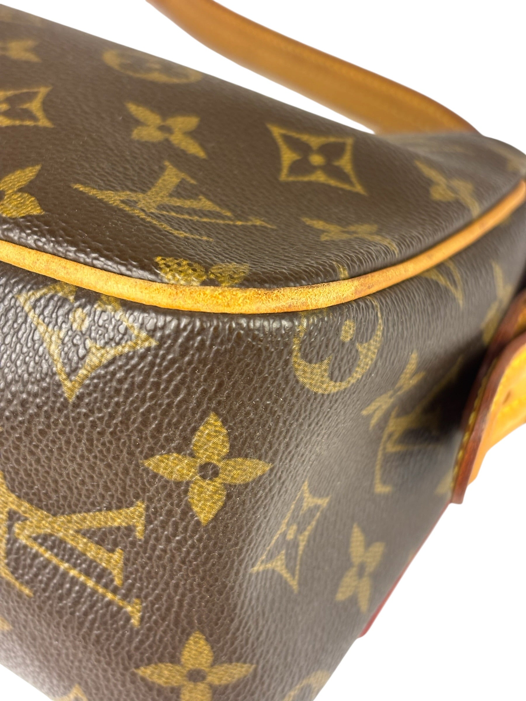 Louis Vuitton Monogram Viva Cite Shoulder Bag PM