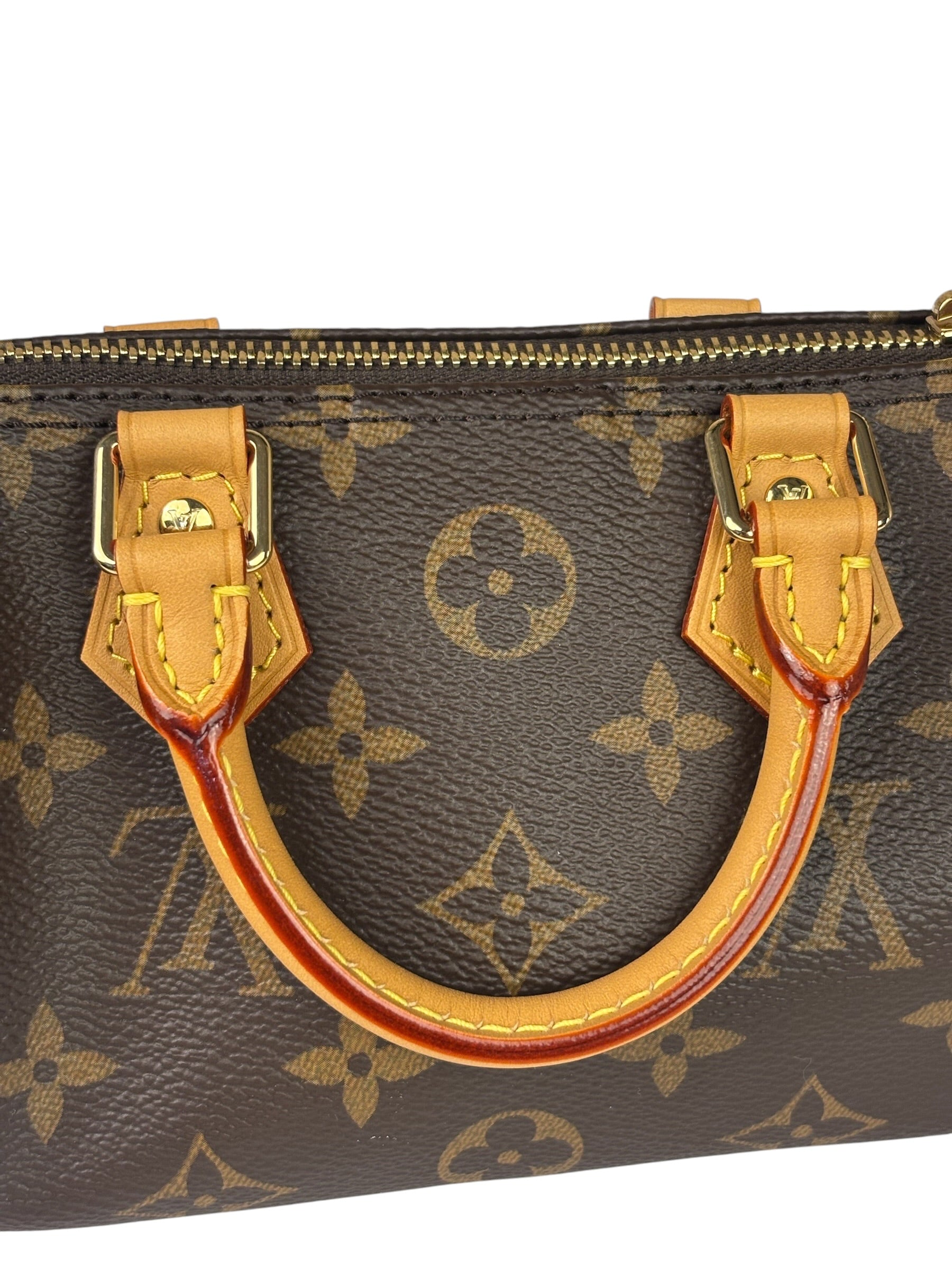 Louis Vuitton Monogram Nano Speedy Two-Way Bag