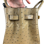 Hermes Birkin 35 Mousse Ostrich 2001