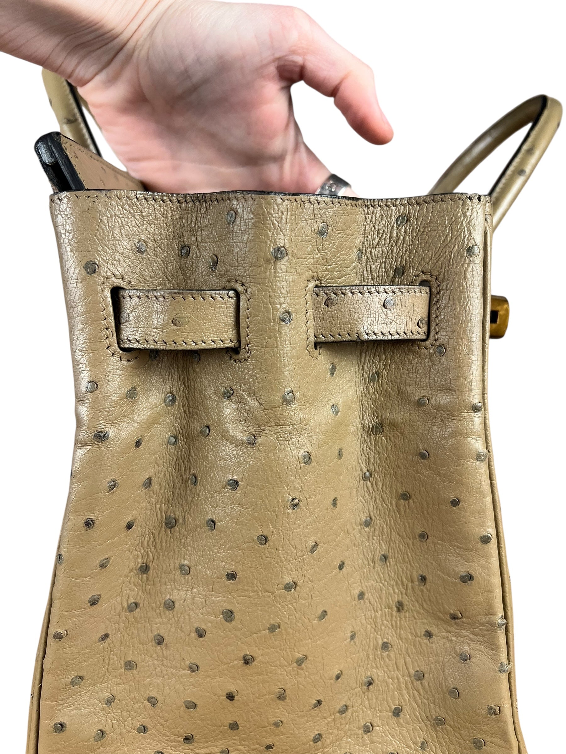 Hermes Birkin 35 Mousse Ostrich 2001