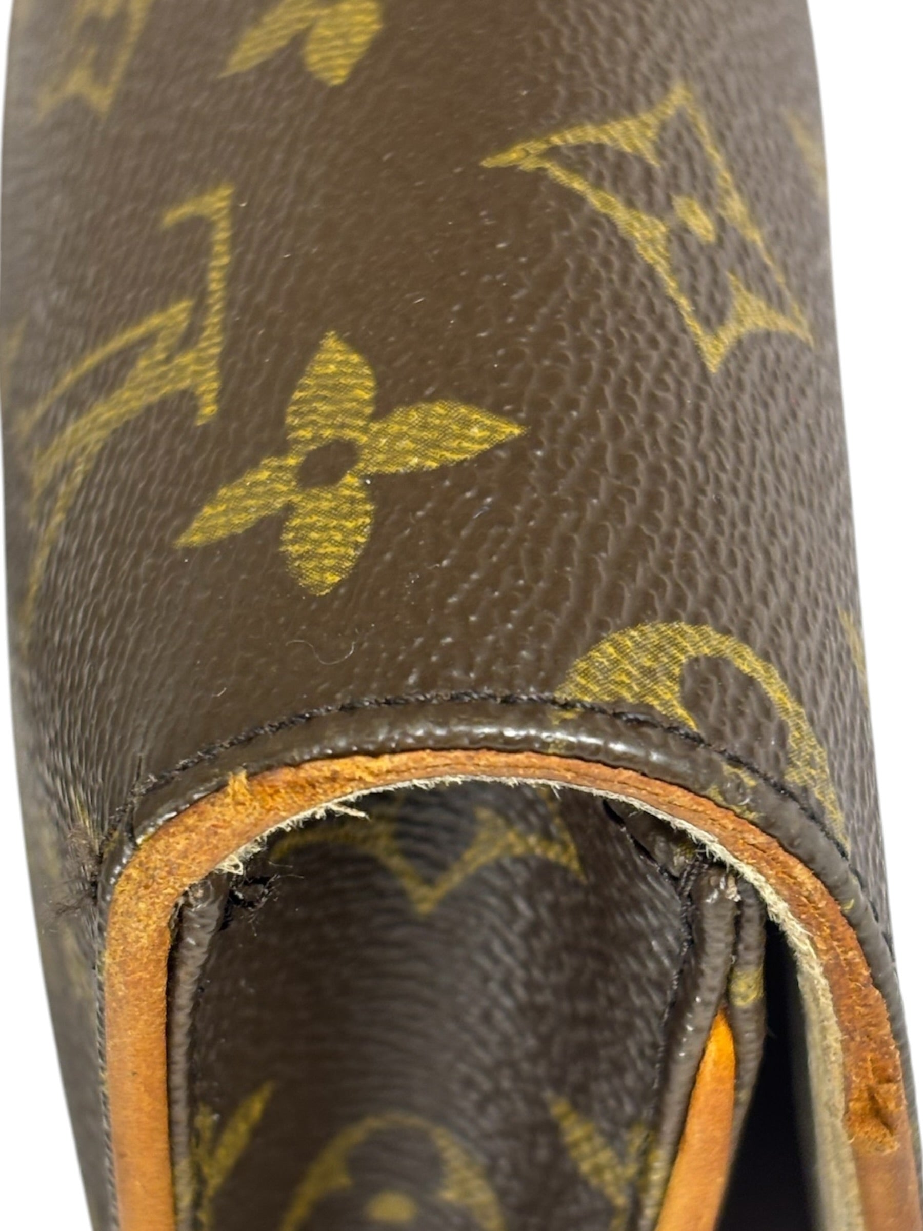 Louis Vuitton Monogram Twin Pochette