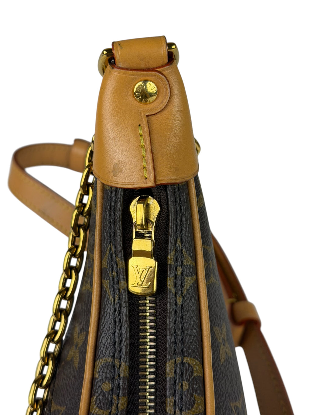 Louis Vuitton Monogram Loop Pochette