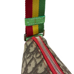 Christian Dior Vintage Rasta Trotter Crossbody Bag